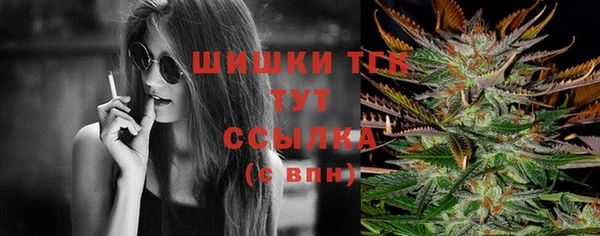spice Белокуриха