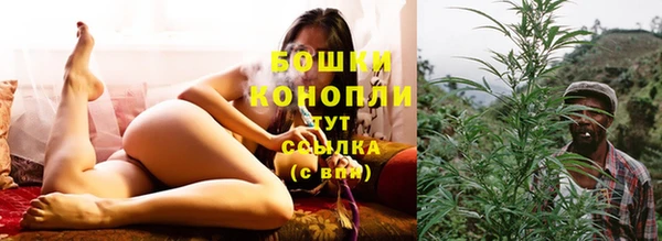 spice Белокуриха